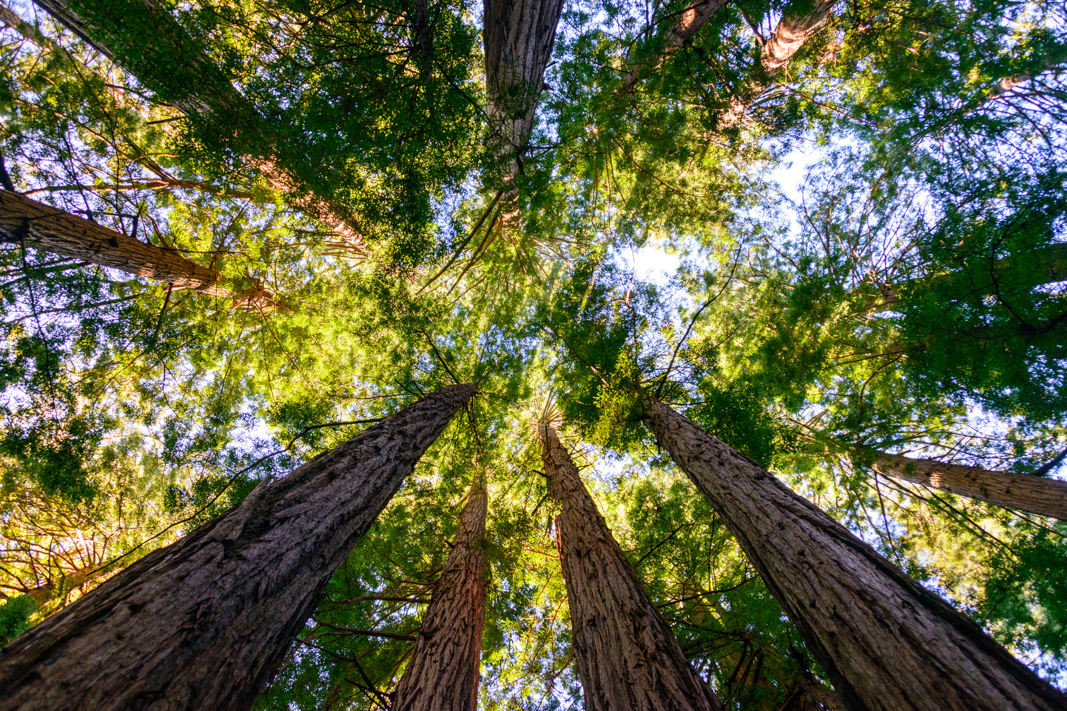 landscaping in Northampton